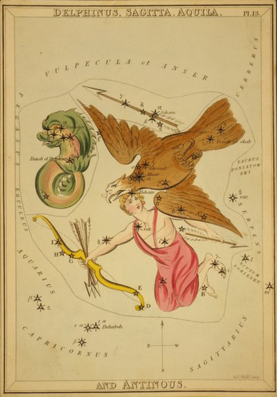 Delphinus, Sagitta, Aquila et Antinous, Illustration de 