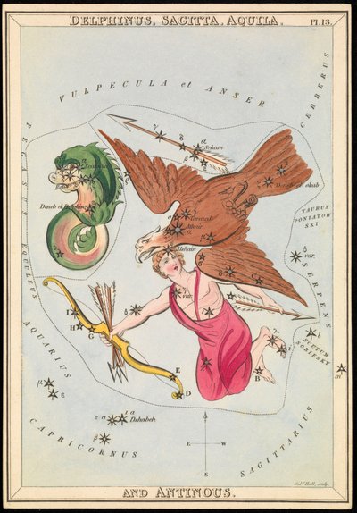 Delphinus, Sagitta, Aquila et Antinous, c.1825 - Sydney Hall