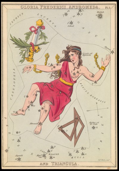 Gloria Frederich, Andromède et Triangula, vers 1825 (carte, papier, tissu) - Sydney Hall