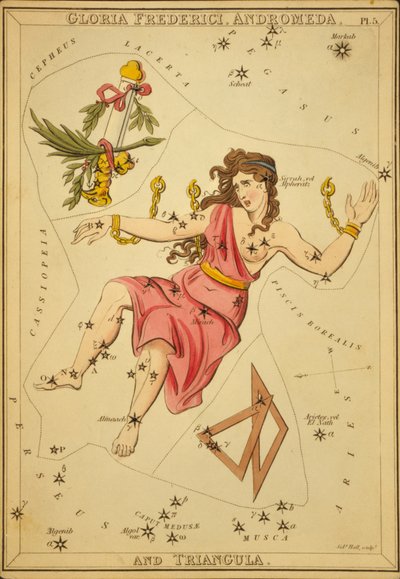 Gloria Frederici, Andromeda, et Triangula, Illustration de 