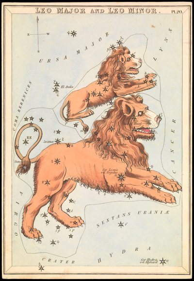 Leo Major et Leo Minor, vers 1825 - Sydney Hall