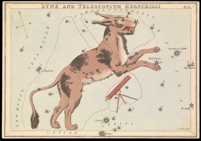 Lynx et Telescopium Hereschilii, c.1825 - Sydney Hall
