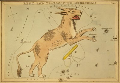 Lynx et Telescopium Herschilii, Illustration de 