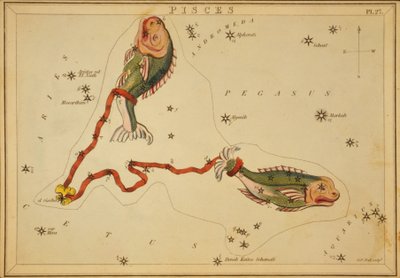 Poissons, Illustration de 