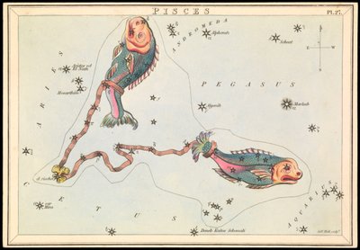 Poissons, c.1825 - Sydney Hall