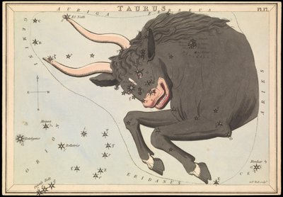 Taureau, c.1825 - Sydney Hall