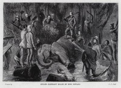 Éléphant tué par le roi Édouard VII - Sydney Prior (after) Hall