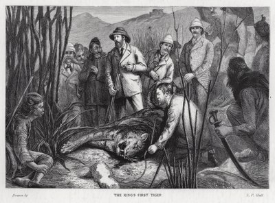 Le roi Édouard VII avec le tigre qu