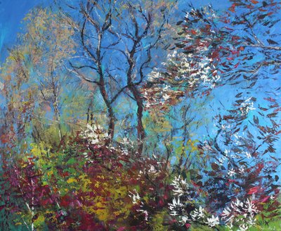 Fleurs et ciel bleu - Sylvia Paul
