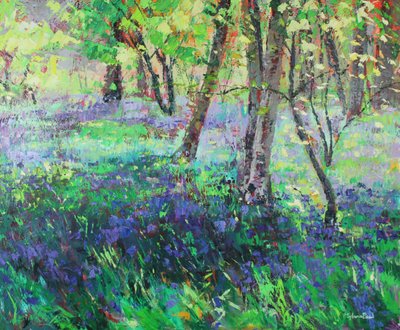 Soleil et jacinthes des bois - Sylvia Paul