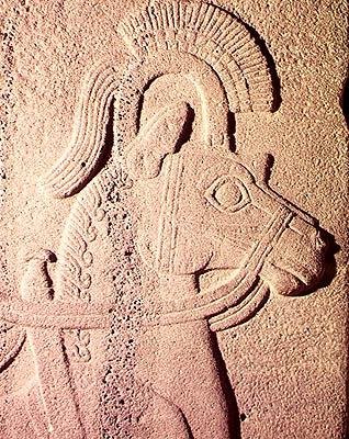 Détail de la tête d