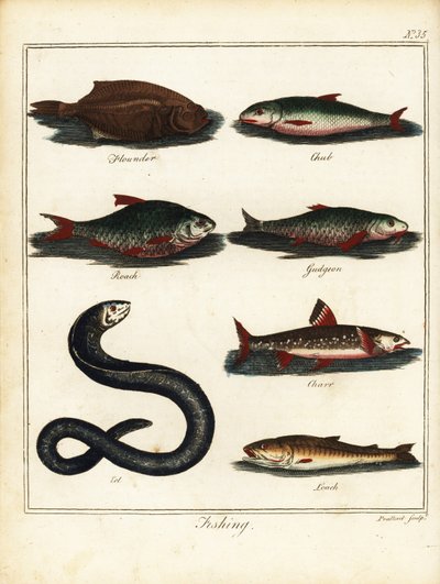 Pêche : flet, chevesne, gardon, goujon, omble, anguille, loche. 1792 - T. Prattent
