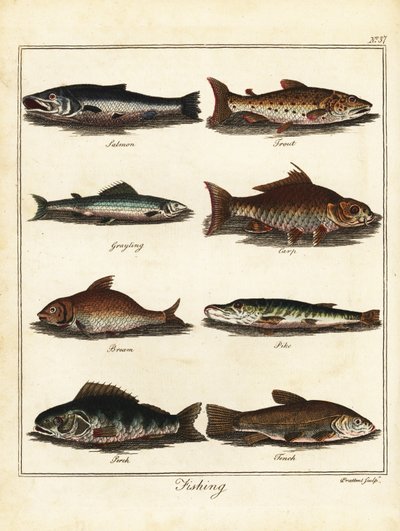 Pêche : saumon, truite, ombre, carpe, brème, brochet, perche, tenc. 1792 - T. Prattent