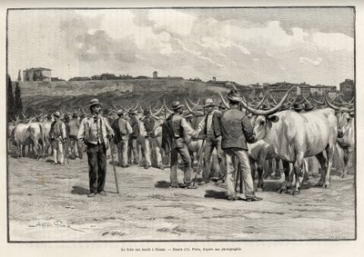 La foire aux bœufs à Sienne (Italie). Gravure de Taylor pour illustrer l