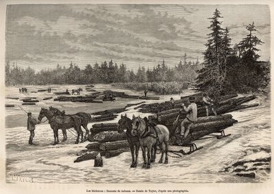 La descente des radeaux en Ontario, les bûcherons déchargent les troncs coupés et les installent sur la rivière gelée, puis lors du dégel, les troncs seront emportés par le courant jusqu