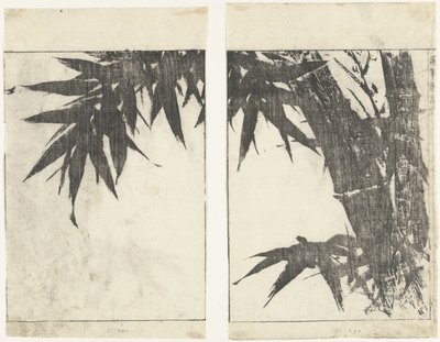 Bambou - Tachibana Morikuni