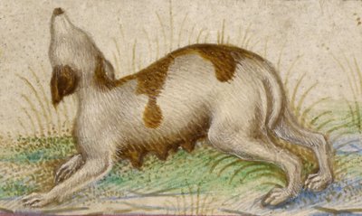 Heures Gualenghi-d