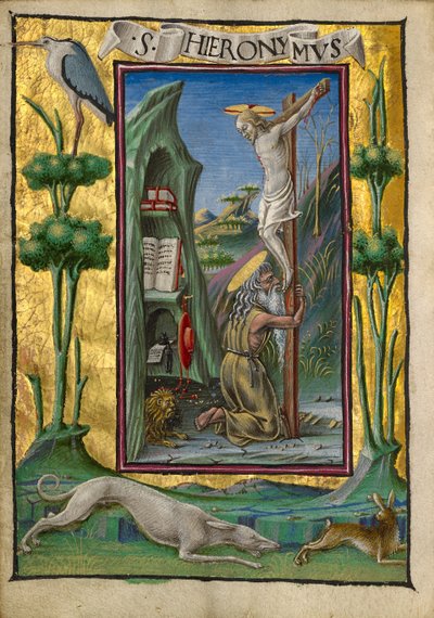 Saint Jérôme dans le désert - Taddeo Crivelli
