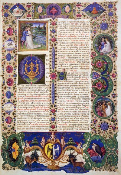 Le Cantique des Cantiques - Taddeo Crivelli