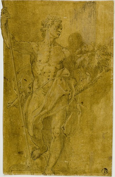Étude pour une figure allégorique masculine - Taddeo Zuccaro