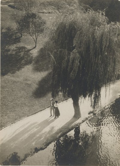 La lumière du soleil et l
