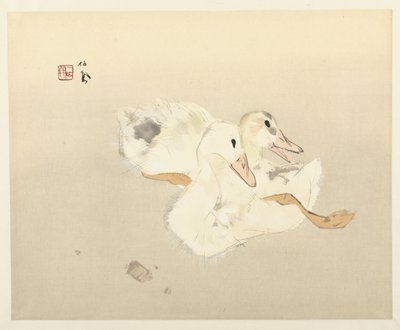 Jeunes canards - Takeuchi Seiho