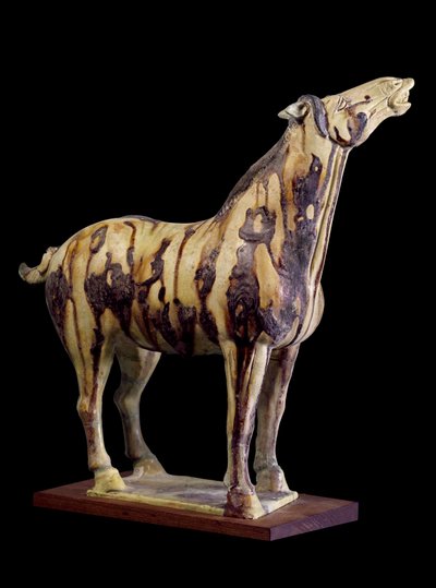 Art chinois : statuette funéraire en terre cuite avec glaçures tricolores représentant un cheval hennissant - Tang Dynasty Chinese School