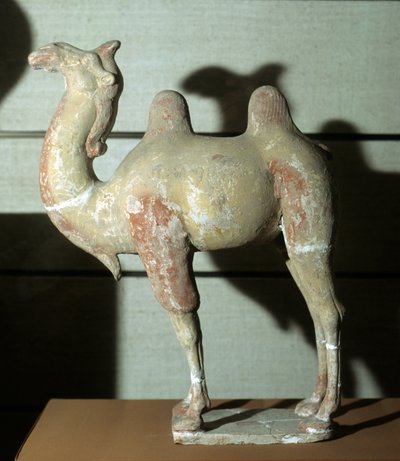 Chameau coloré, objet funéraire, 618-907 - Tang Dynasty Chinese School