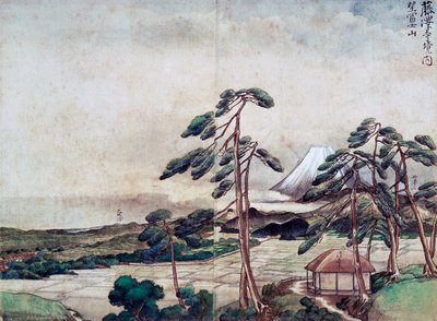 Vue de la côte de Kanagawa - Tani Buncho