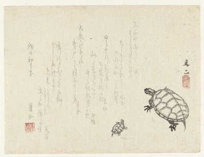 Deux tortues - Tani Bunji