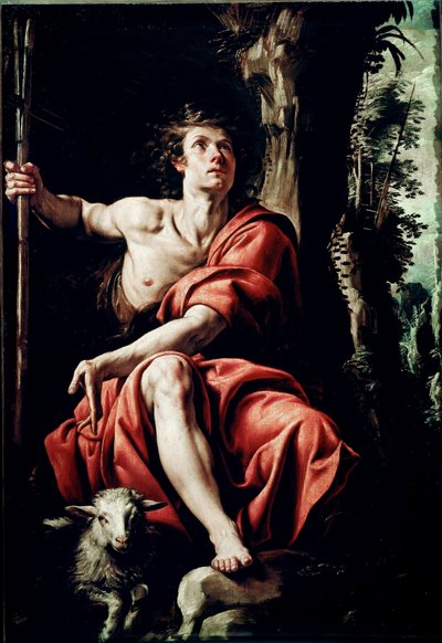 Saint Jean dans le désert Peinture de Tanzio da Varallo (Antonio d