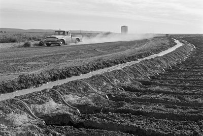 Agriculteur familial Ed Ker au ranch A.M. Ker, cultivateur d