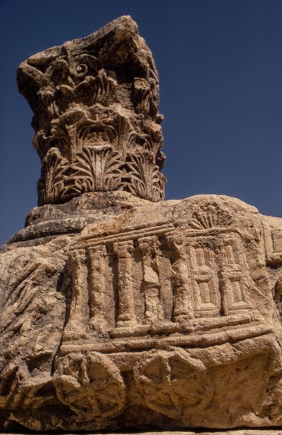Ruines de la synagogue à Capharnaüm, Israël - Ted Spiegel