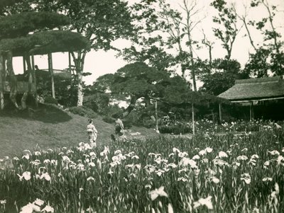Jardin d