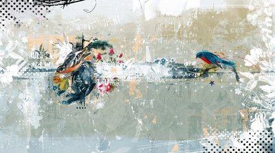 Birdalicious - Teis Albers