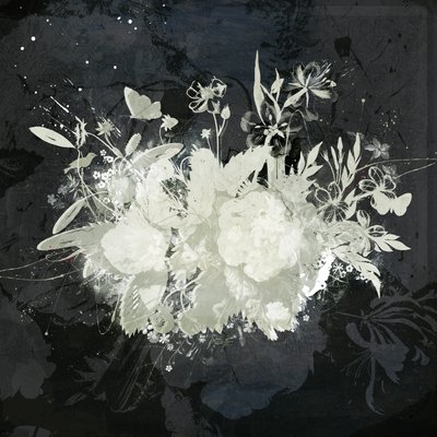 Silhouette florale - Teis Albers