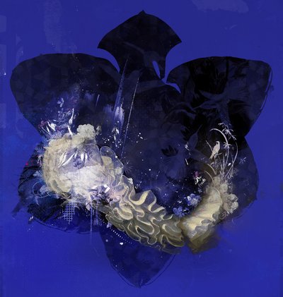 Collier floral, 2016 - Teis Albers