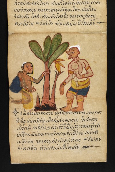 Satra. Sur la divination et les conseils pour une vie heureuse et saine (livre pliant en papier) - Thai School
