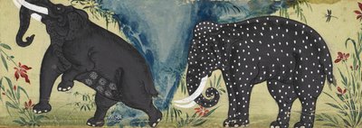 Deux éléphants près d