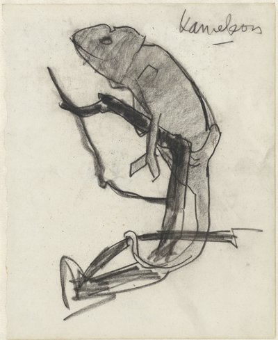 Caméléon - Theo Nieuwenhuis