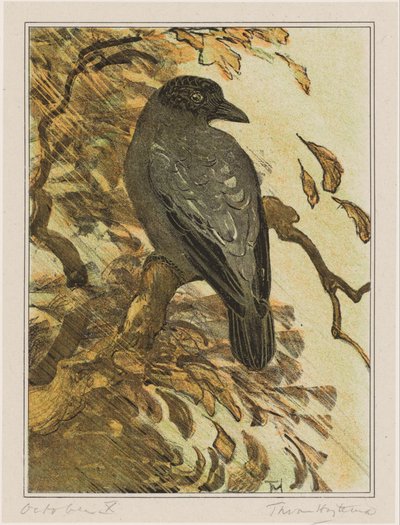 Corbeau bigarré sur une branche - Theo van Hoytema (signed by artist)