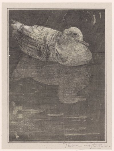 Canard flottant - Theo van Hoytema (signed by artist)