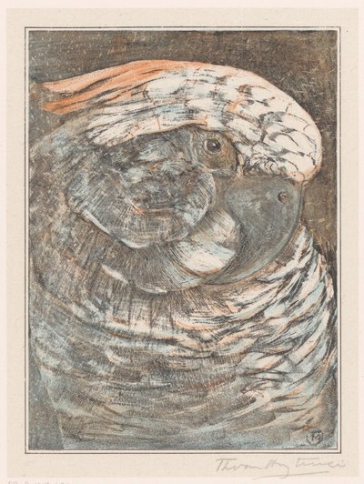 Tête de perroquet - Theo van Hoytema (signed by artist)