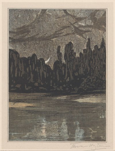 Paysage nocturne avec oiseaux migrateurs - Theo van Hoytema (signed by artist)