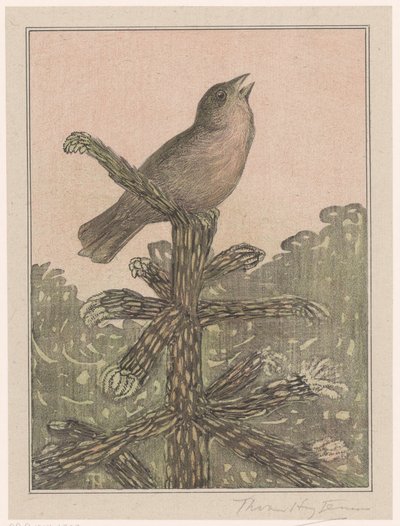Oiseau chantant sur un conifère - Theo van Hoytema (signed by artist)
