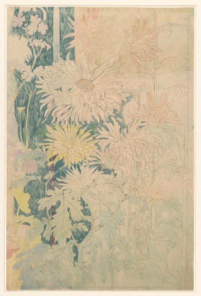 Chrysanthèmes et quelques autres fleurs d