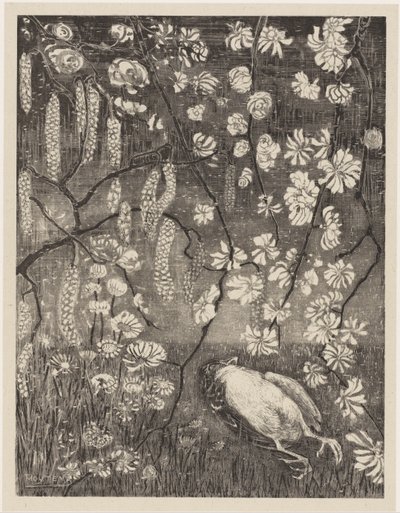 Petit oiseau mort sous des branches de noisetier et de chèvrefeuille (Bloemstudies) - Theo van Hoytema