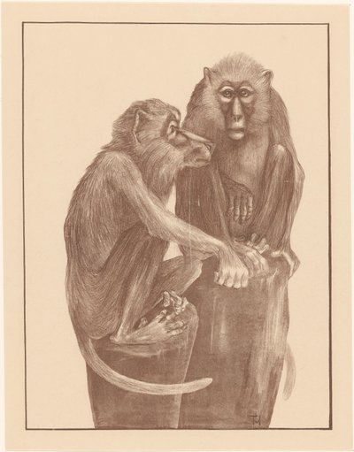 Deux singes sur des souches d