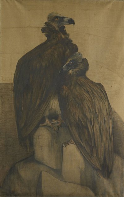Deux vautours arabes - Theo van Hoytema