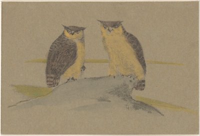 Carte de vœux avec deux hiboux - Theo van Hoytema